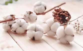 新疆有哪些棉花產區